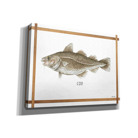 Image of 'Cod on White' by Cindy Jacobs, Canvas Wall Art