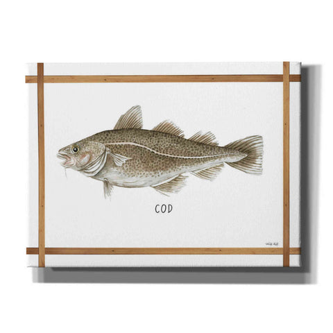 Image of 'Cod on White' by Cindy Jacobs, Canvas Wall Art