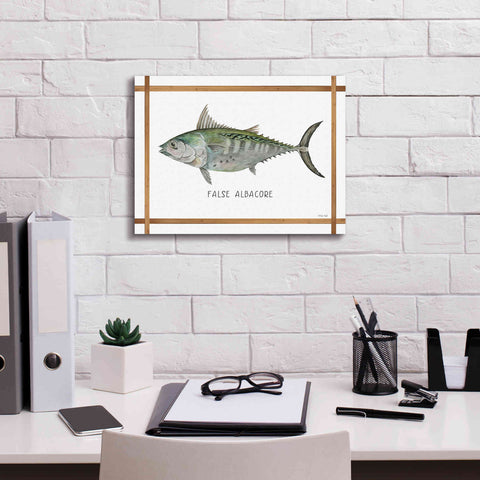 Image of 'False Albacore on White' by Cindy Jacobs, Canvas Wall Art,16 x 12