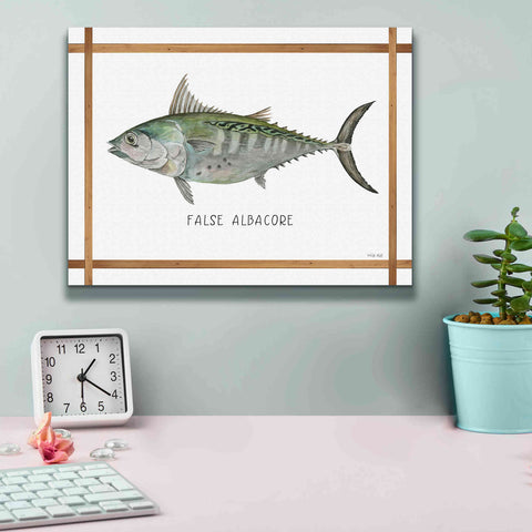 Image of 'False Albacore on White' by Cindy Jacobs, Canvas Wall Art,16 x 12