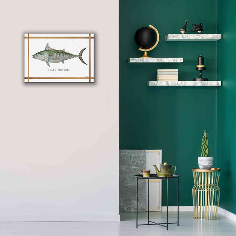 Image of 'False Albacore on White' by Cindy Jacobs, Canvas Wall Art,26 x 18