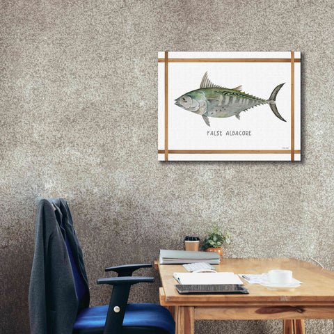 Image of 'False Albacore on White' by Cindy Jacobs, Canvas Wall Art,34 x 26