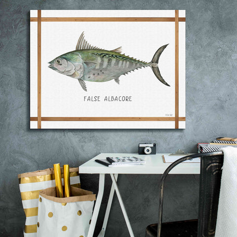 Image of 'False Albacore on White' by Cindy Jacobs, Canvas Wall Art,34 x 26