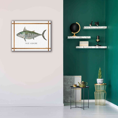 Image of 'False Albacore on White' by Cindy Jacobs, Canvas Wall Art,34 x 26