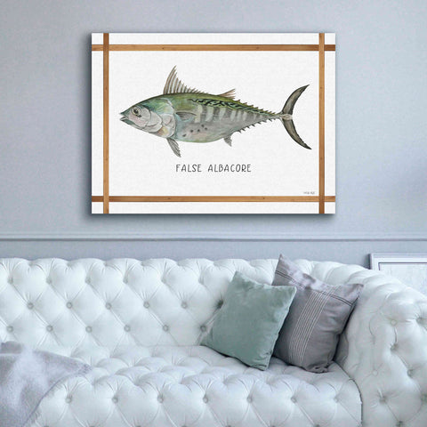 Image of 'False Albacore on White' by Cindy Jacobs, Canvas Wall Art,54 x 40