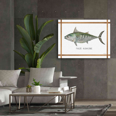 Image of 'False Albacore on White' by Cindy Jacobs, Canvas Wall Art,54 x 40