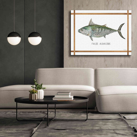 Image of 'False Albacore on White' by Cindy Jacobs, Canvas Wall Art,54 x 40