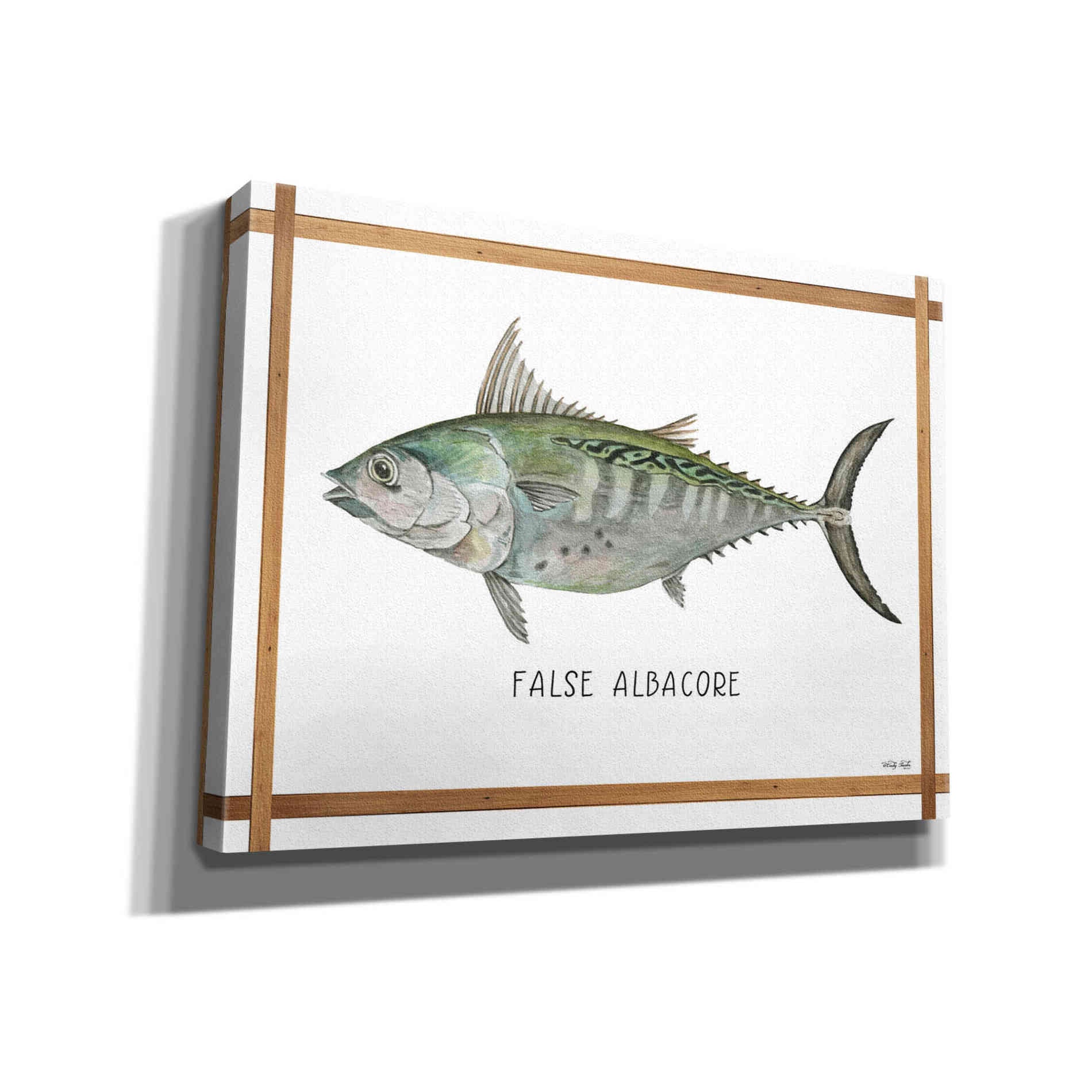 'False Albacore on White' by Cindy Jacobs, Canvas Wall Art