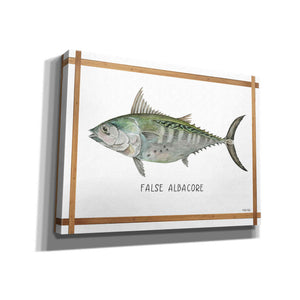 'False Albacore on White' by Cindy Jacobs, Canvas Wall Art