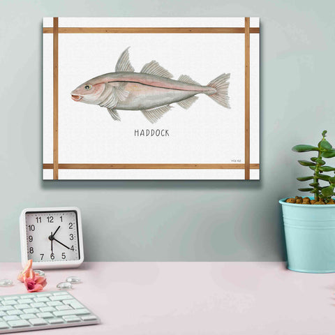 Image of 'Haddock on White' by Cindy Jacobs, Canvas Wall Art,16 x 12