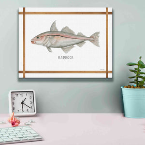 'Haddock on White' by Cindy Jacobs, Canvas Wall Art,16 x 12