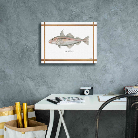 Image of 'Haddock on White' by Cindy Jacobs, Canvas Wall Art,16 x 12