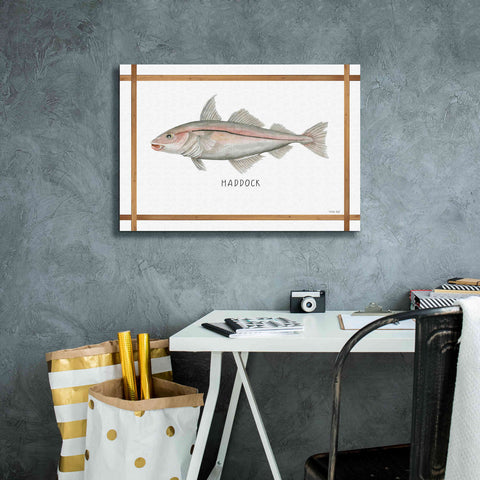 Image of 'Haddock on White' by Cindy Jacobs, Canvas Wall Art,26 x 18