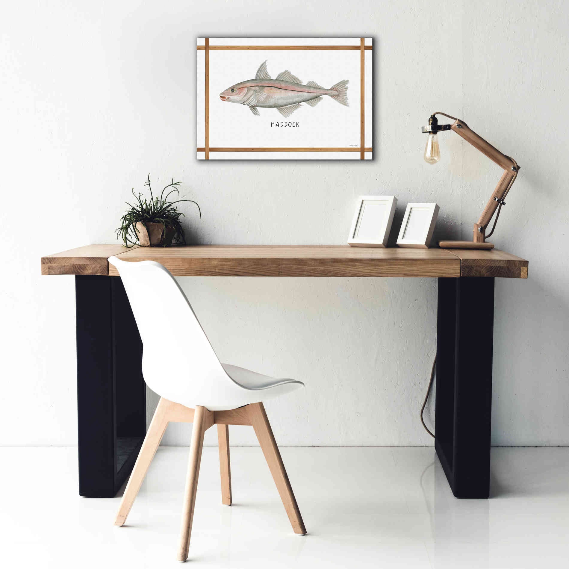 'Haddock on White' by Cindy Jacobs, Canvas Wall Art,26 x 18