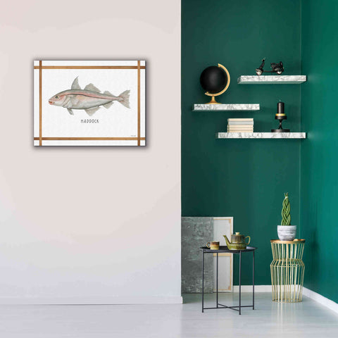 Image of 'Haddock on White' by Cindy Jacobs, Canvas Wall Art,34 x 26