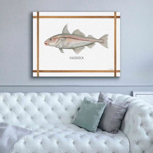 'Haddock on White' by Cindy Jacobs, Canvas Wall Art,54 x 40