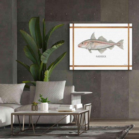 Image of 'Haddock on White' by Cindy Jacobs, Canvas Wall Art,54 x 40