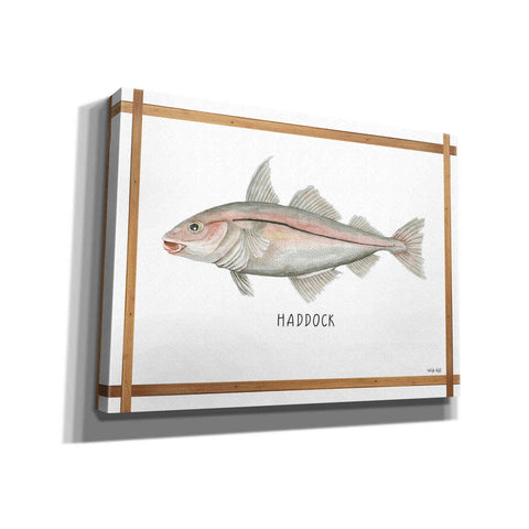 Image of 'Haddock on White' by Cindy Jacobs, Canvas Wall Art