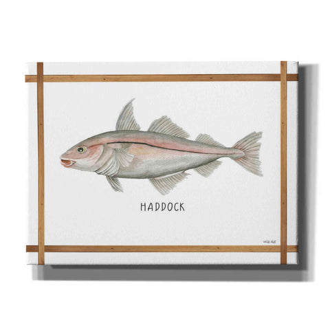 Image of 'Haddock on White' by Cindy Jacobs, Canvas Wall Art