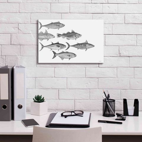 Image of 'Variety of Fish I' by Cindy Jacobs, Canvas Wall Art,18 x 12