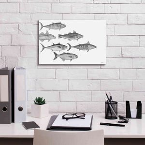 'Variety of Fish I' by Cindy Jacobs, Canvas Wall Art,18 x 12