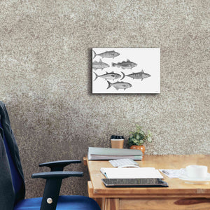 'Variety of Fish I' by Cindy Jacobs, Canvas Wall Art,18 x 12