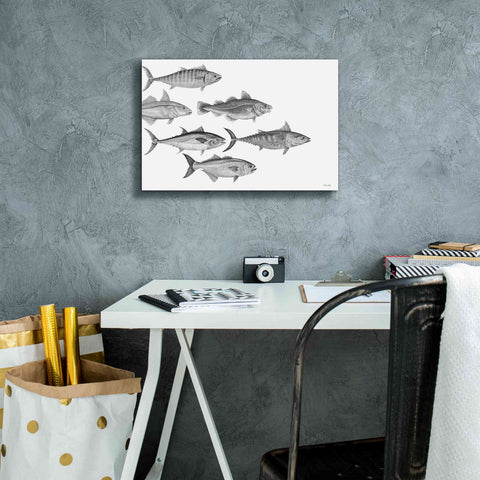 Image of 'Variety of Fish I' by Cindy Jacobs, Canvas Wall Art,18 x 12