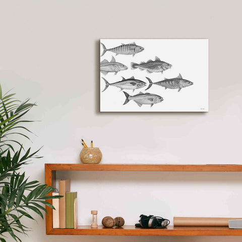 Image of 'Variety of Fish I' by Cindy Jacobs, Canvas Wall Art,18 x 12