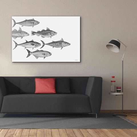 Image of 'Variety of Fish I' by Cindy Jacobs, Canvas Wall Art,60 x 40