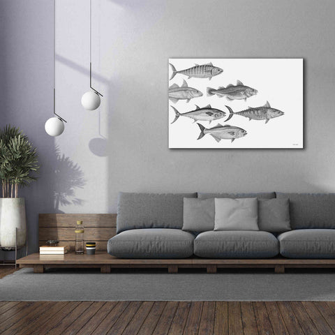 Image of 'Variety of Fish I' by Cindy Jacobs, Canvas Wall Art,60 x 40