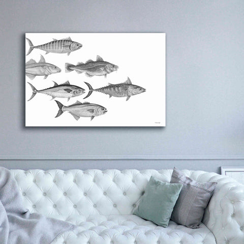 Image of 'Variety of Fish I' by Cindy Jacobs, Canvas Wall Art,60 x 40