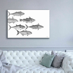 'Variety of Fish I' by Cindy Jacobs, Canvas Wall Art,60 x 40