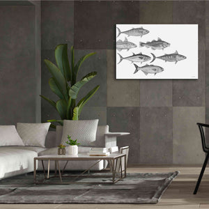 'Variety of Fish I' by Cindy Jacobs, Canvas Wall Art,60 x 40