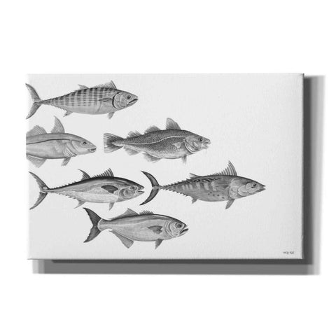 Image of 'Variety of Fish I' by Cindy Jacobs, Canvas Wall Art