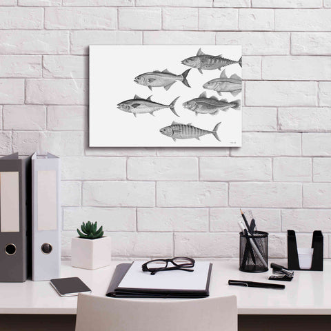 Image of 'Variety of Fish II' by Cindy Jacobs, Canvas Wall Art,18 x 12