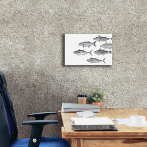 'Variety of Fish II' by Cindy Jacobs, Canvas Wall Art,18 x 12