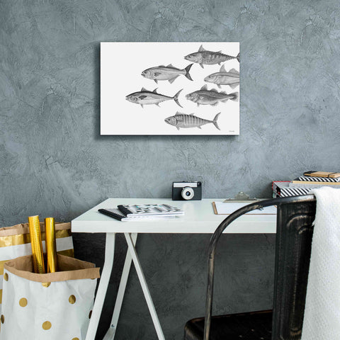 Image of 'Variety of Fish II' by Cindy Jacobs, Canvas Wall Art,18 x 12
