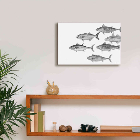 Image of 'Variety of Fish II' by Cindy Jacobs, Canvas Wall Art,18 x 12