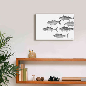 'Variety of Fish II' by Cindy Jacobs, Canvas Wall Art,18 x 12