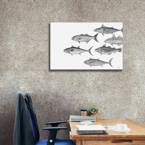 Image of 'Variety of Fish II' by Cindy Jacobs, Canvas Wall Art,40 x 26