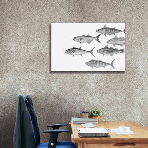 'Variety of Fish II' by Cindy Jacobs, Canvas Wall Art,40 x 26