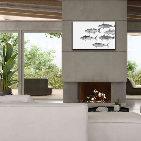Image of 'Variety of Fish II' by Cindy Jacobs, Canvas Wall Art,40 x 26