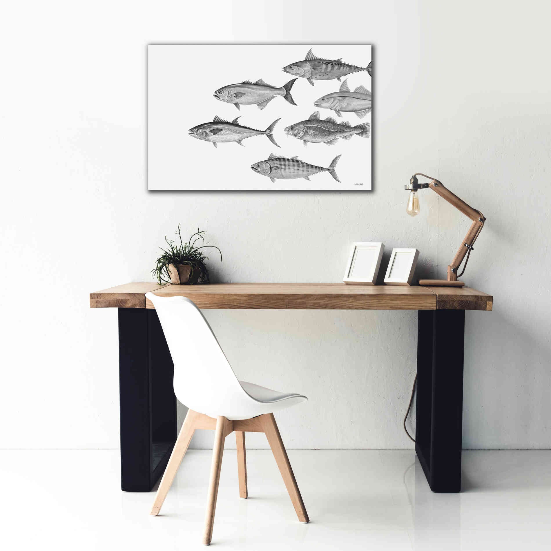 'Variety of Fish II' by Cindy Jacobs, Canvas Wall Art,40 x 26