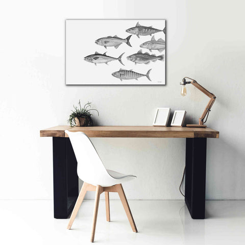 Image of 'Variety of Fish II' by Cindy Jacobs, Canvas Wall Art,40 x 26