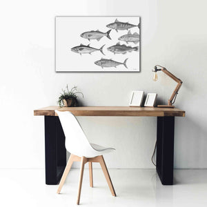 'Variety of Fish II' by Cindy Jacobs, Canvas Wall Art,40 x 26