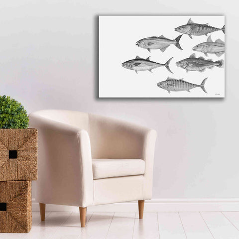 Image of 'Variety of Fish II' by Cindy Jacobs, Canvas Wall Art,40 x 26