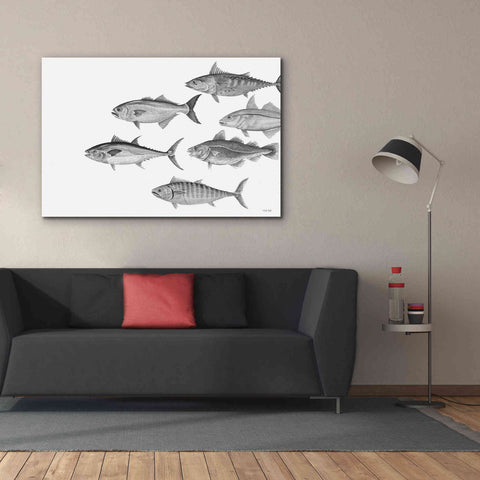 Image of 'Variety of Fish II' by Cindy Jacobs, Canvas Wall Art,60 x 40