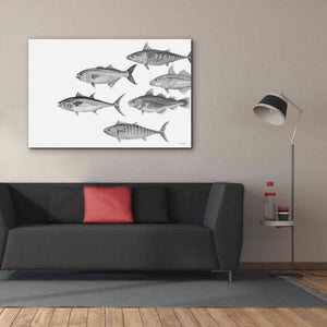 'Variety of Fish II' by Cindy Jacobs, Canvas Wall Art,60 x 40