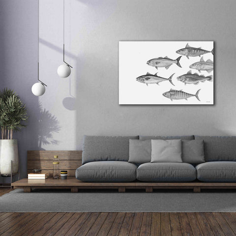 Image of 'Variety of Fish II' by Cindy Jacobs, Canvas Wall Art,60 x 40