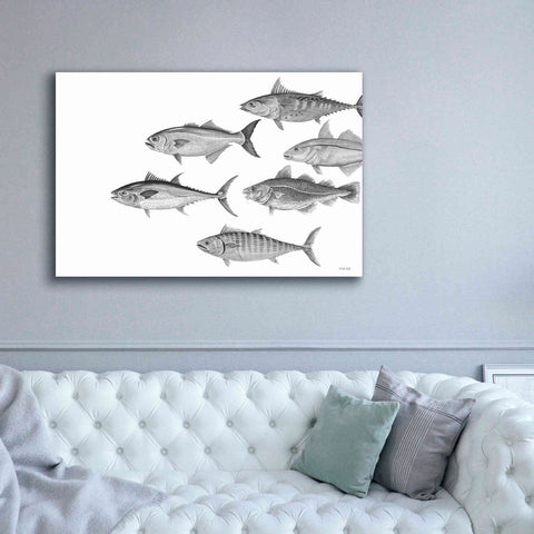 Image of 'Variety of Fish II' by Cindy Jacobs, Canvas Wall Art,60 x 40